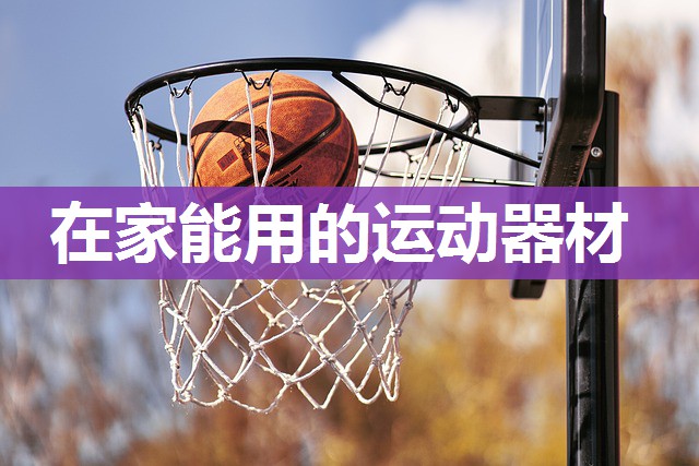在家能用的运动器材