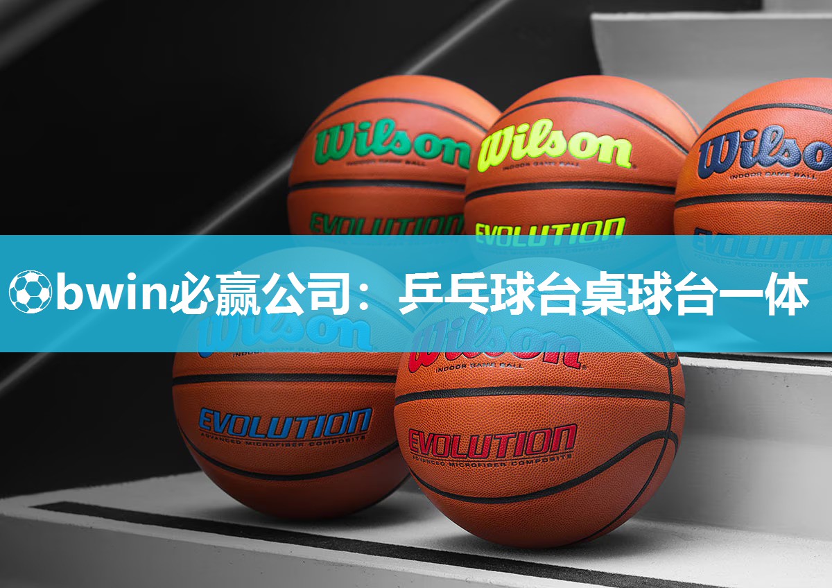⚽bwin必赢公司：乒乓球台桌球台一体
