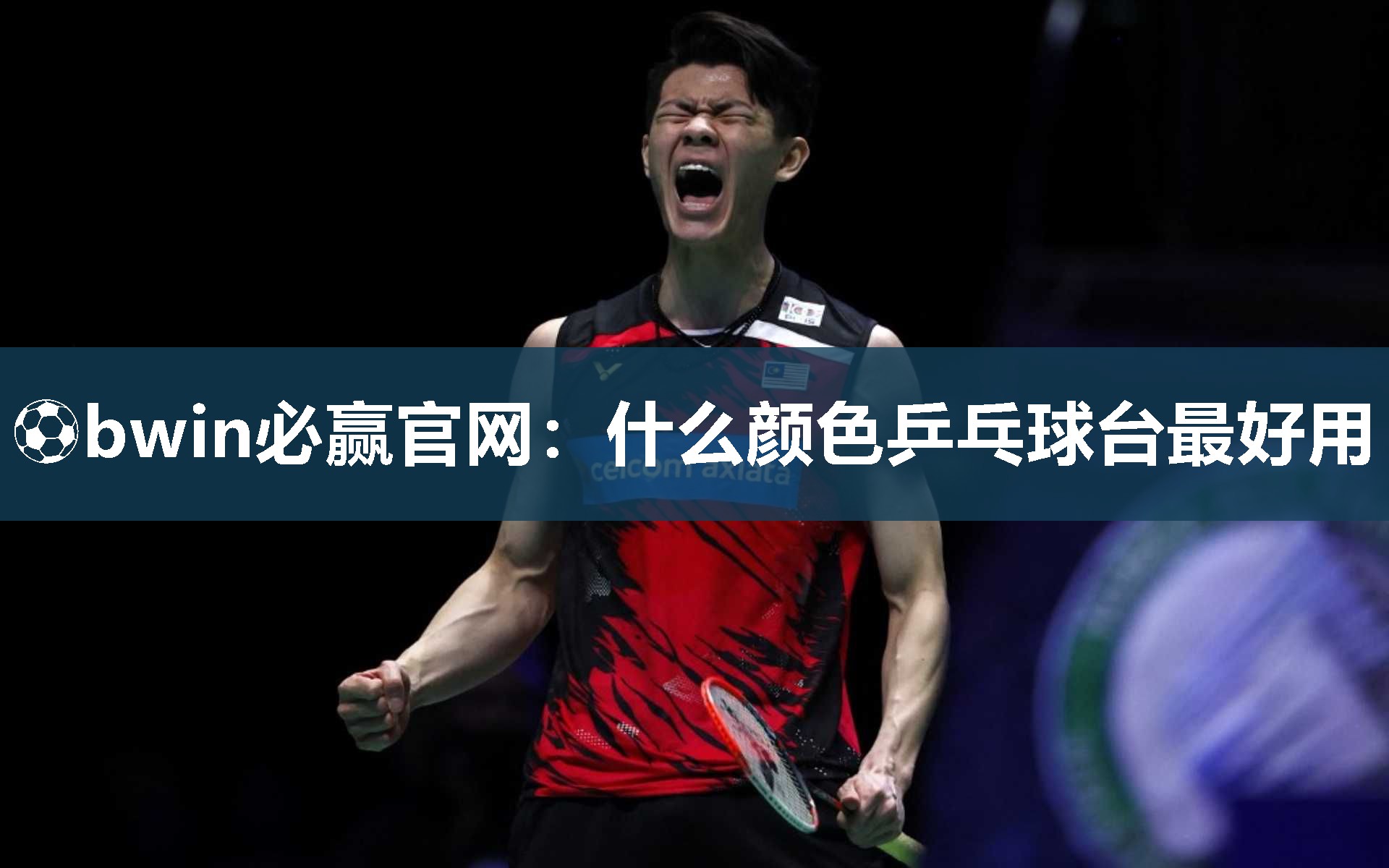 ⚽bwin必赢官网：什么颜色乒乓球台最好用
