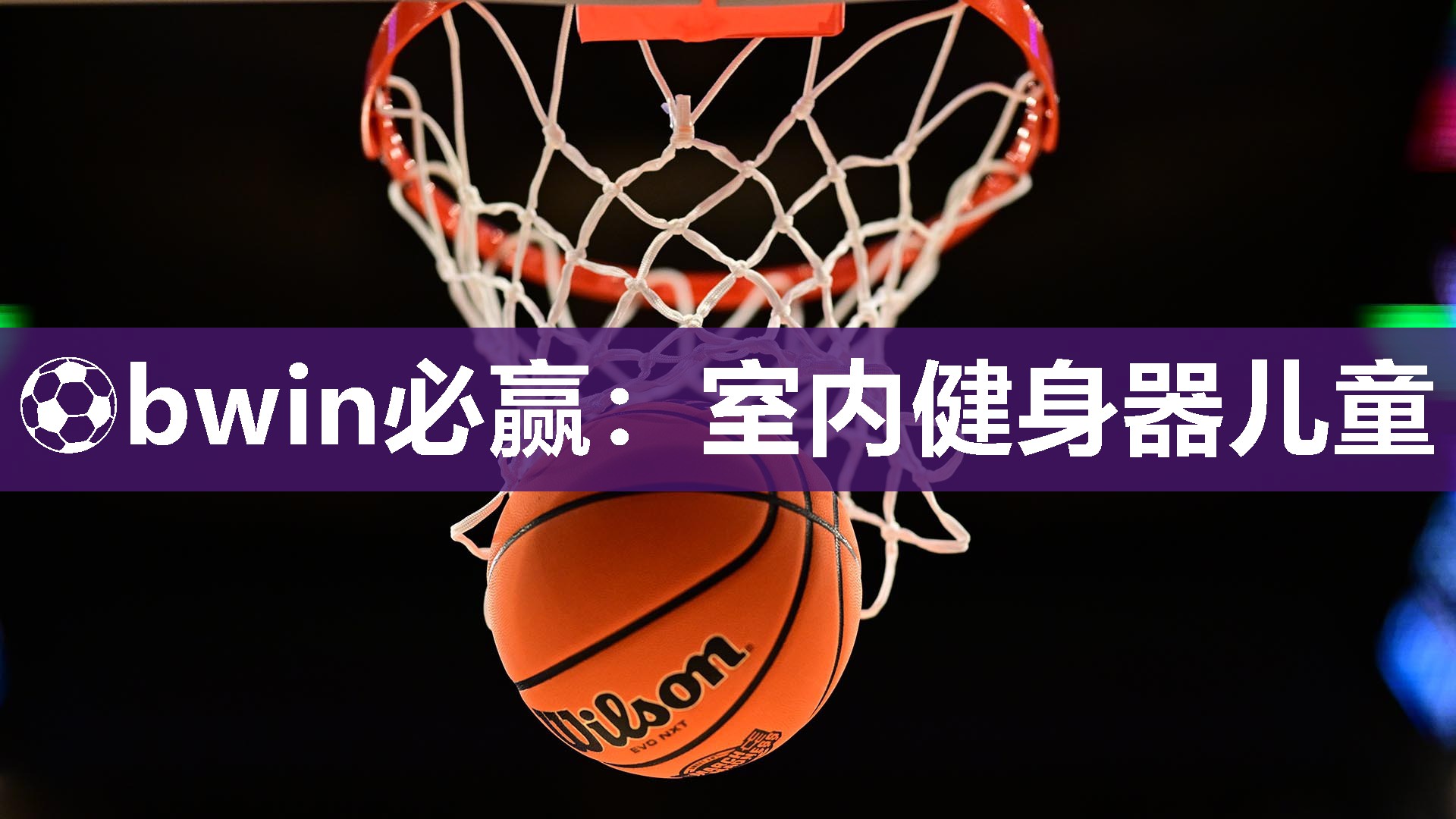 ⚽bwin必赢：室内健身器儿童