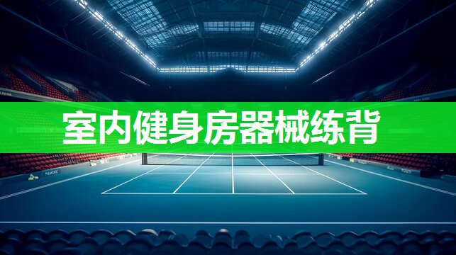 室内健身房器械练背