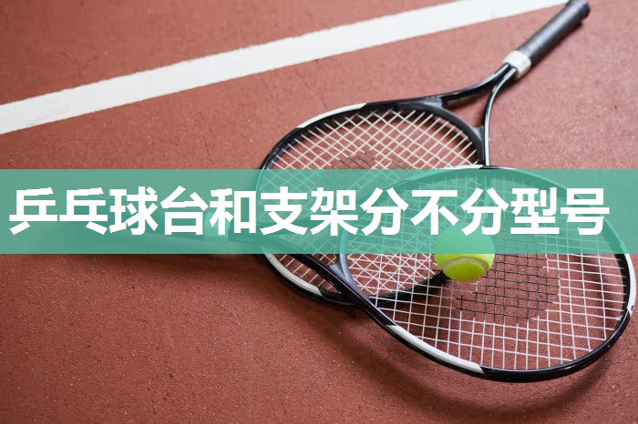 乒乓球台和支架分不分型号