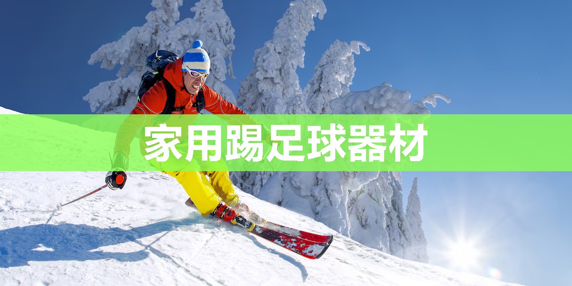 家用踢足球器材