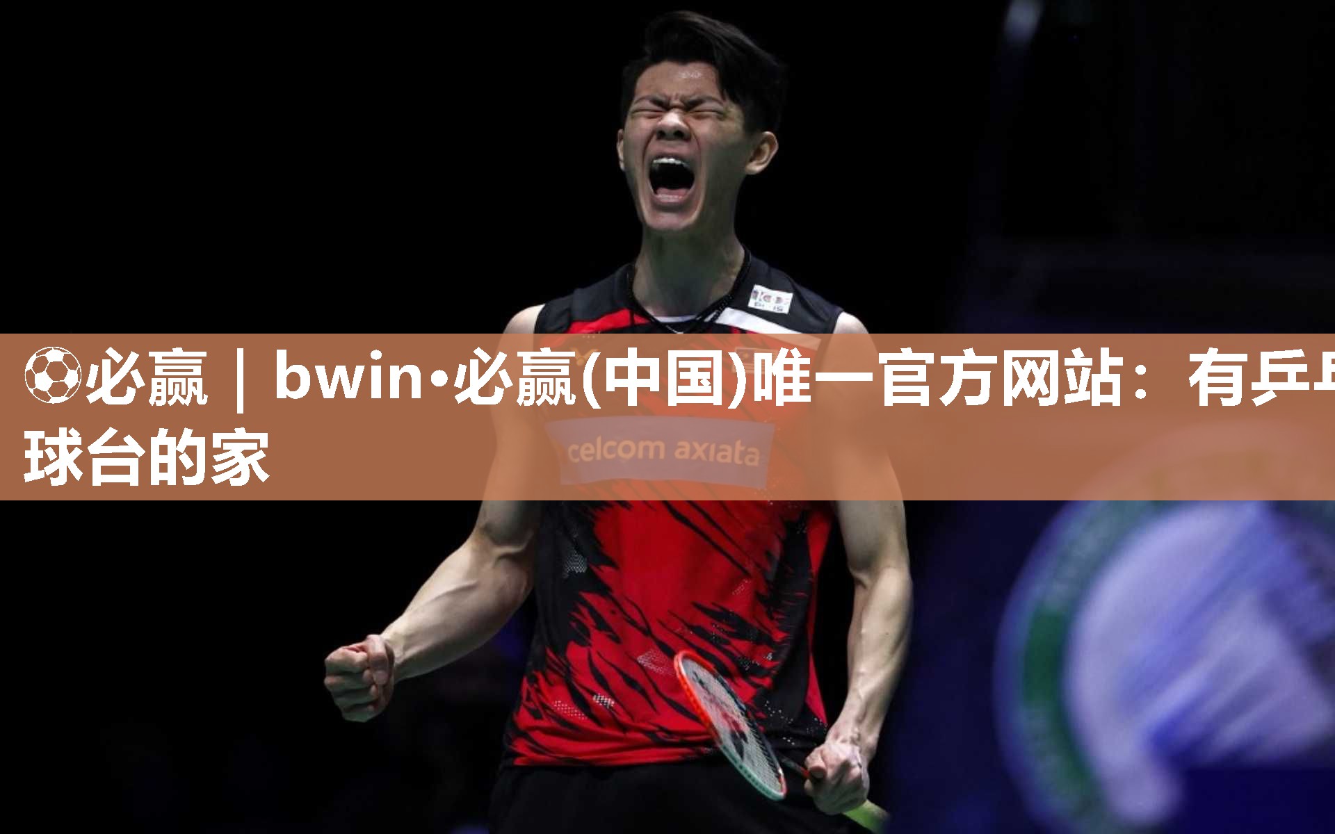 ⚽必赢｜bwin·必赢(中国)唯一官方网站：有乒乓球台的家