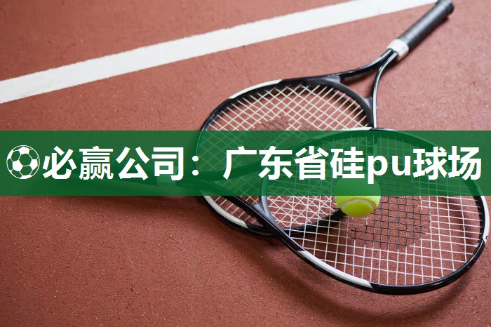 ⚽必赢公司：广东省硅pu球场
