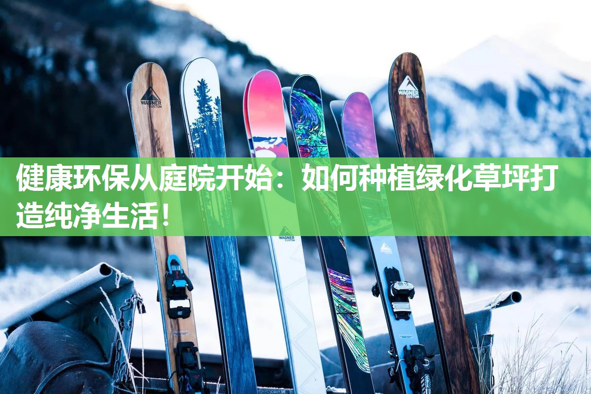 健康环保从庭院开始：如何种植绿化草坪打造纯净生活！