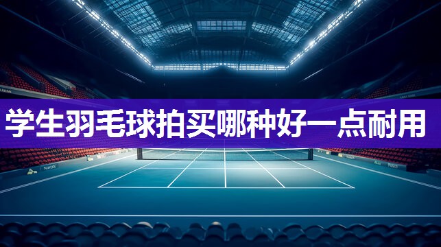 学生羽毛球拍买哪种好一点耐用