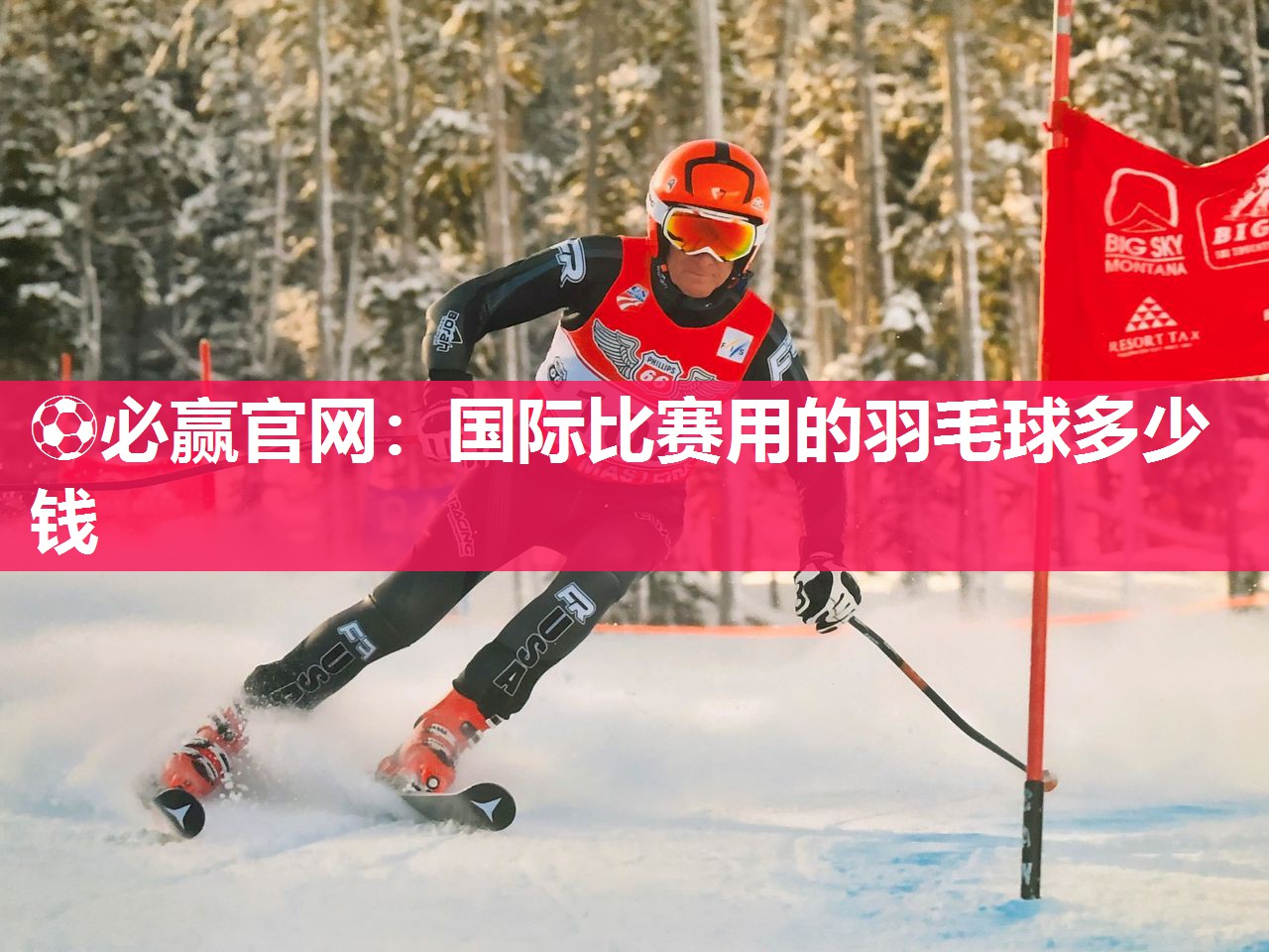 ⚽必赢官网：国际比赛用的羽毛球多少钱