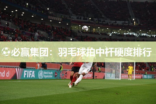 ⚽必赢集团：羽毛球拍中杆硬度排行