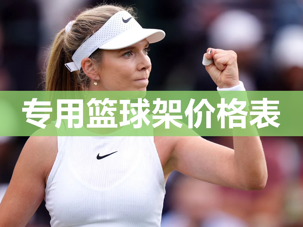 专用篮球架价格表