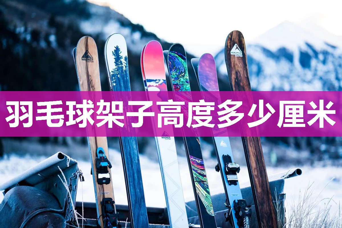 羽毛球架子高度多少厘米