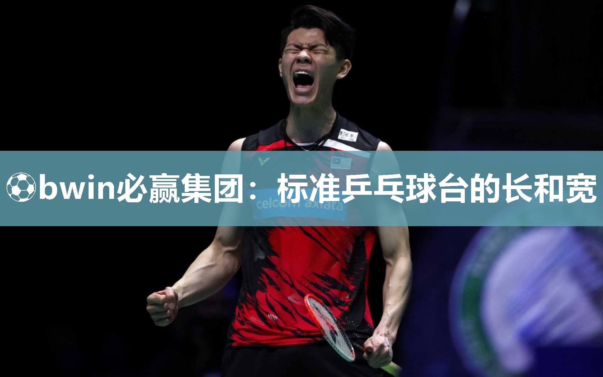⚽bwin必赢集团：标准乒乓球台的长和宽