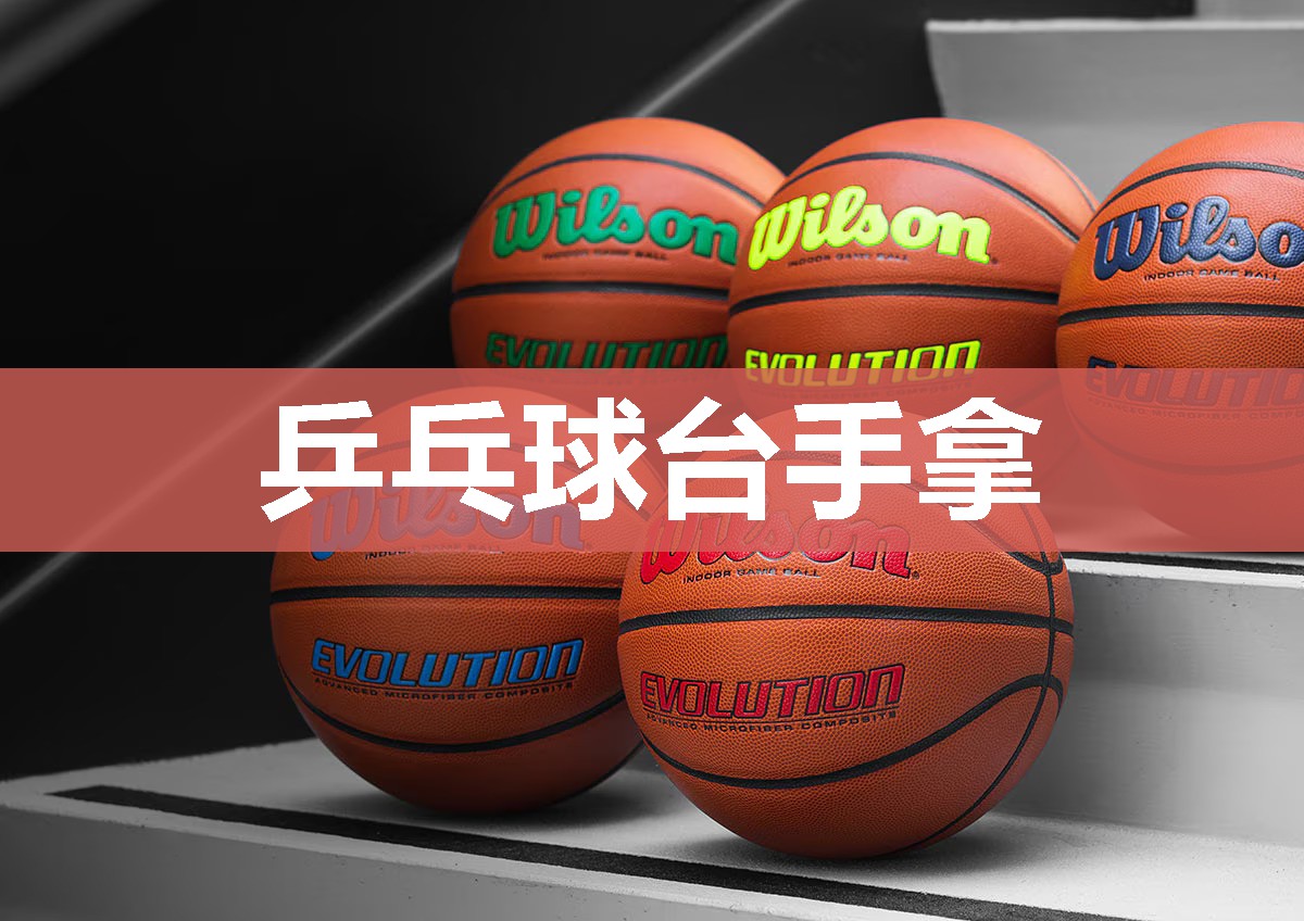 乒乓球台手拿