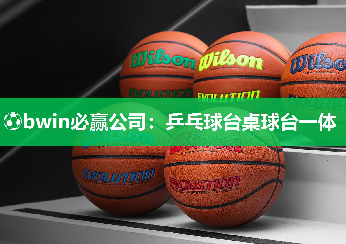 乒乓球台桌球台一体