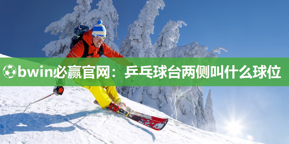 乒乓球台两侧叫什么球位