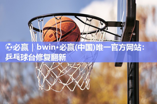 乒乓球台修复翻新