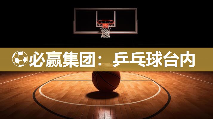 乒乓球台内