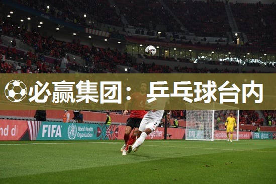 乒乓球台内