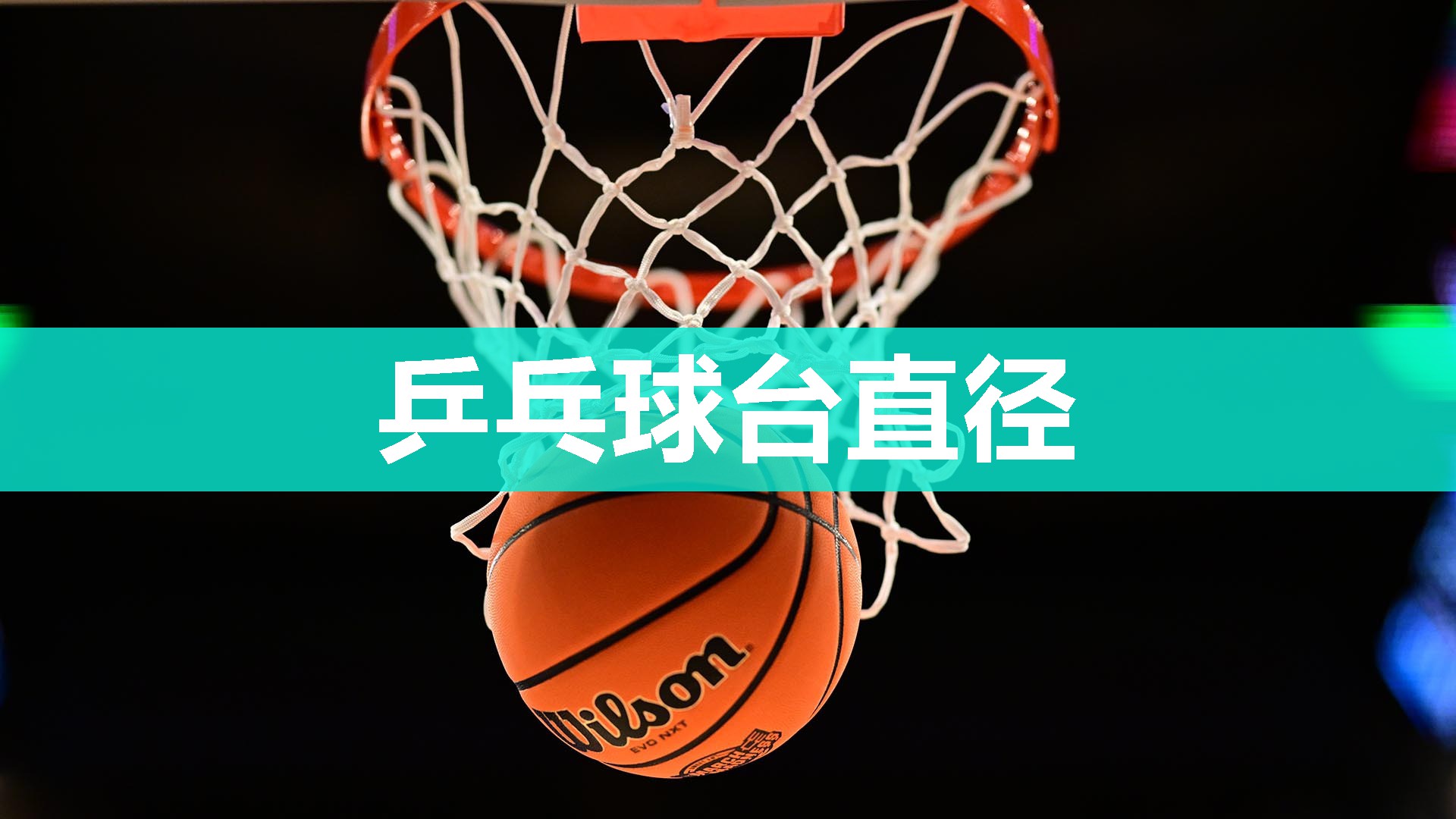 乒乓球台直径