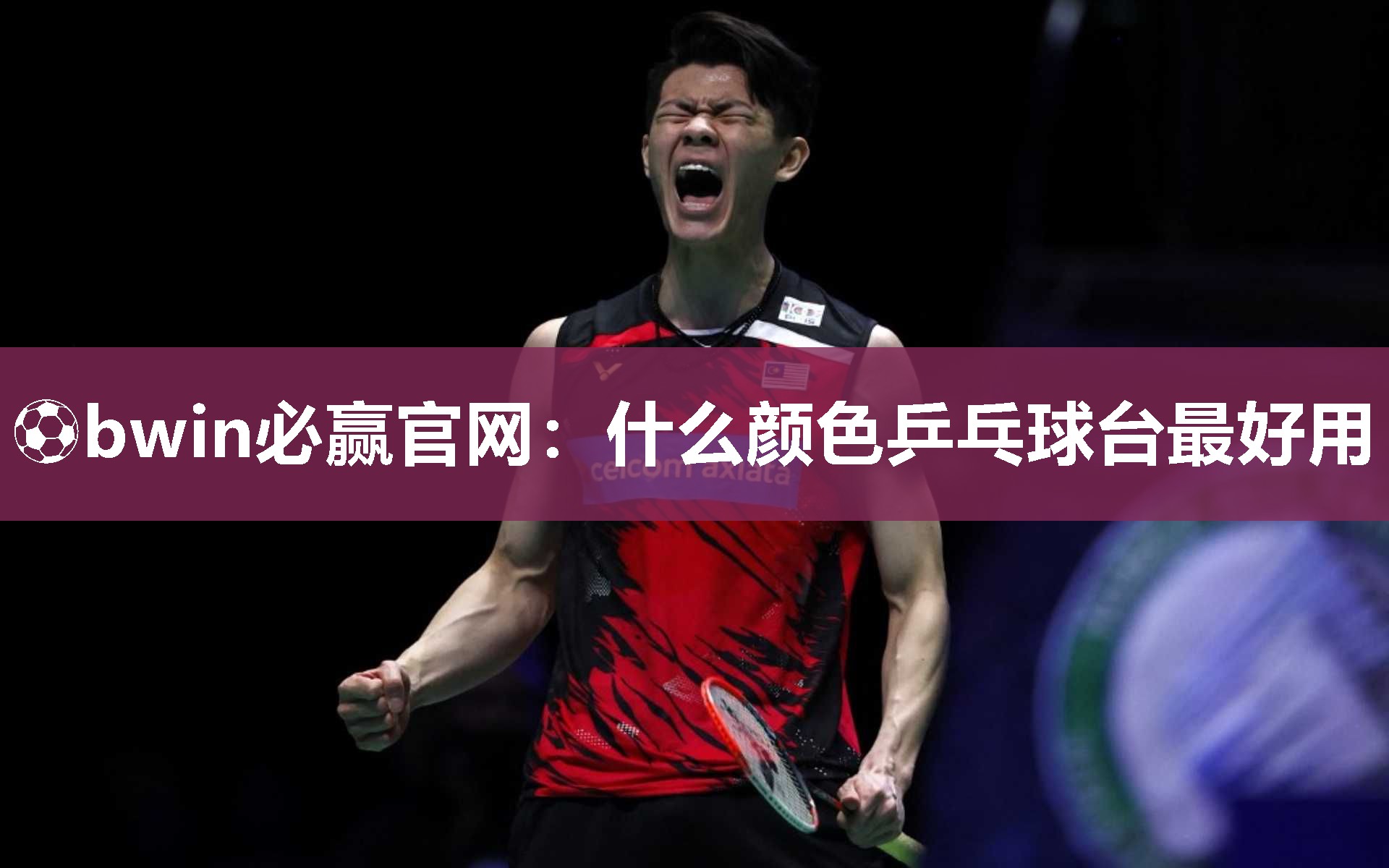 什么颜色乒乓球台最好用