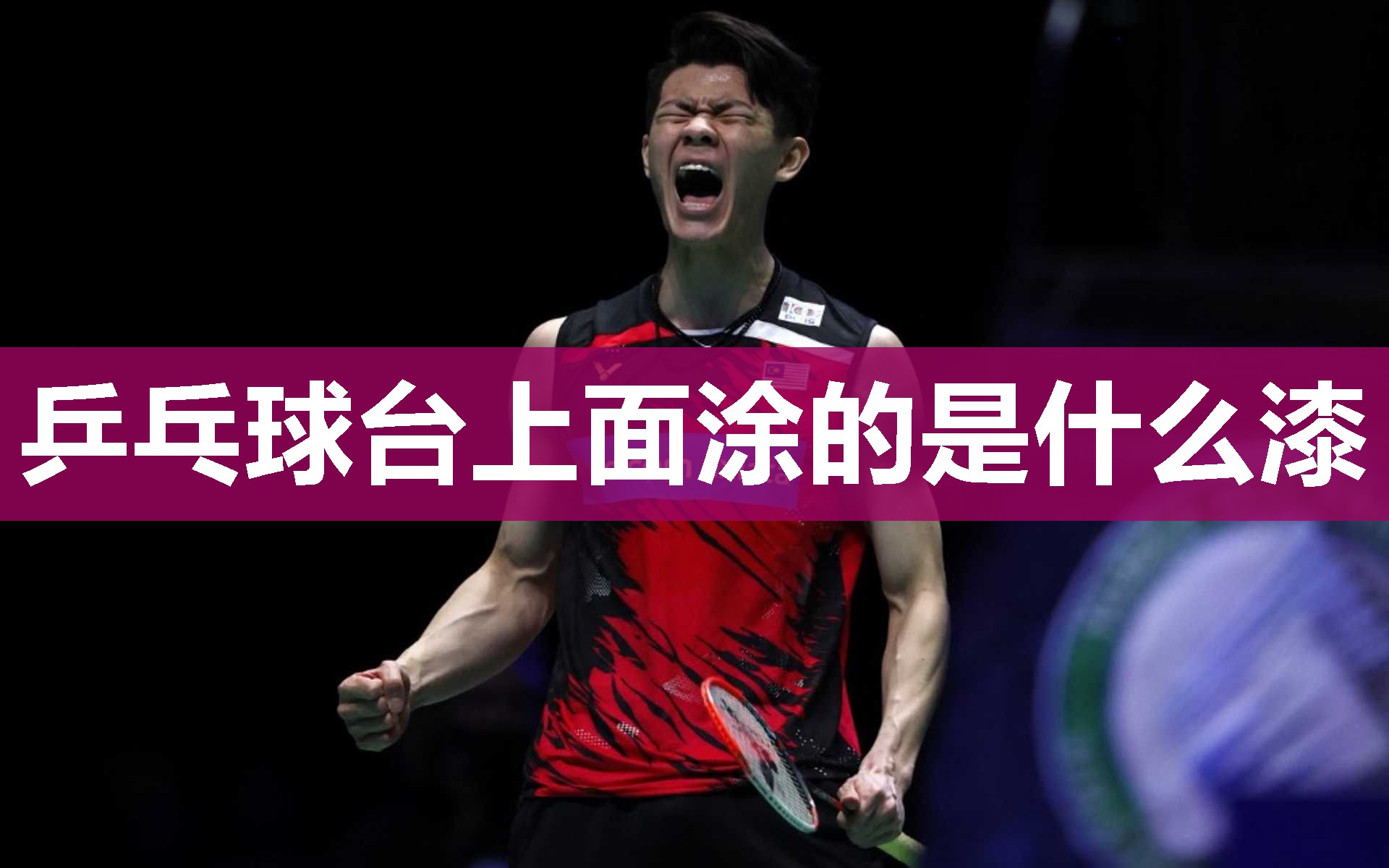 乒乓球台上面涂的是什么漆