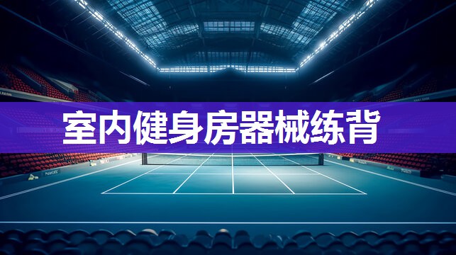 室内健身房器械练背