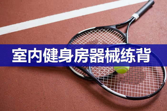 室内健身房器械练背