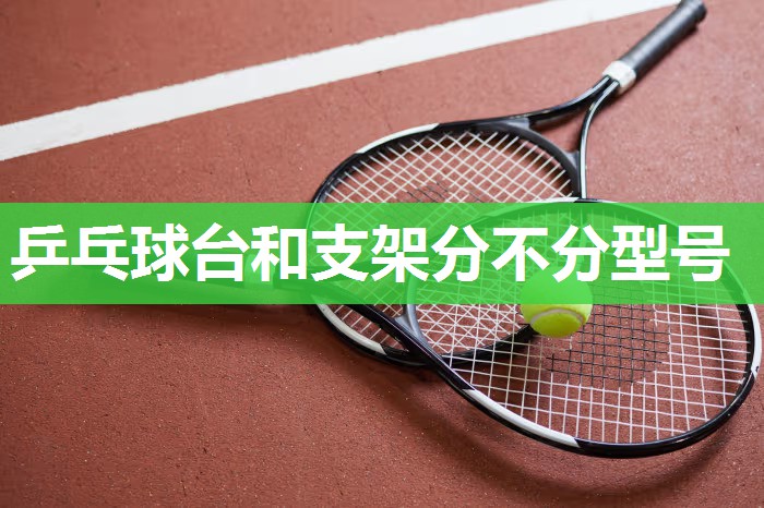 乒乓球台和支架分不分型号