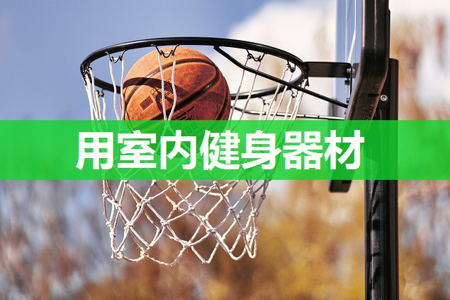 用室内健身器材