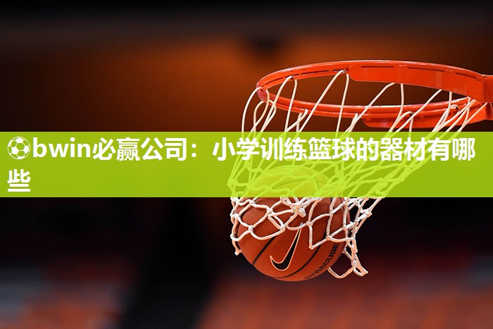 小学训练篮球的器材有哪些