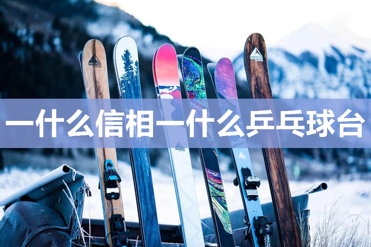 一什么信相一什么乒乓球台