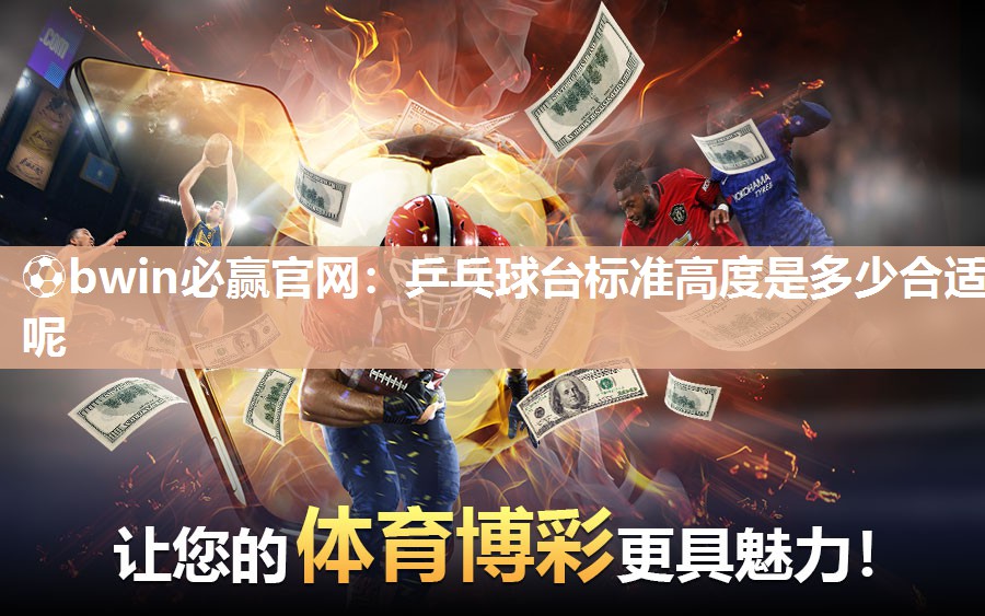 乒乓球台标准高度是多少合适呢