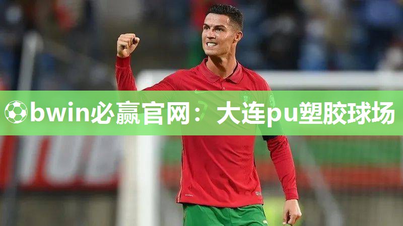 大连pu塑胶球场