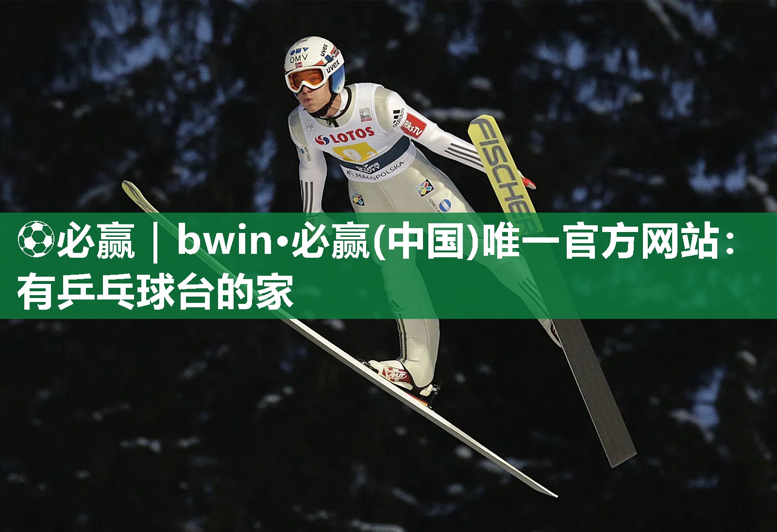 有乒乓球台的家