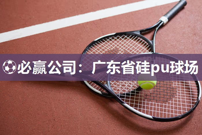 广东省硅pu球场