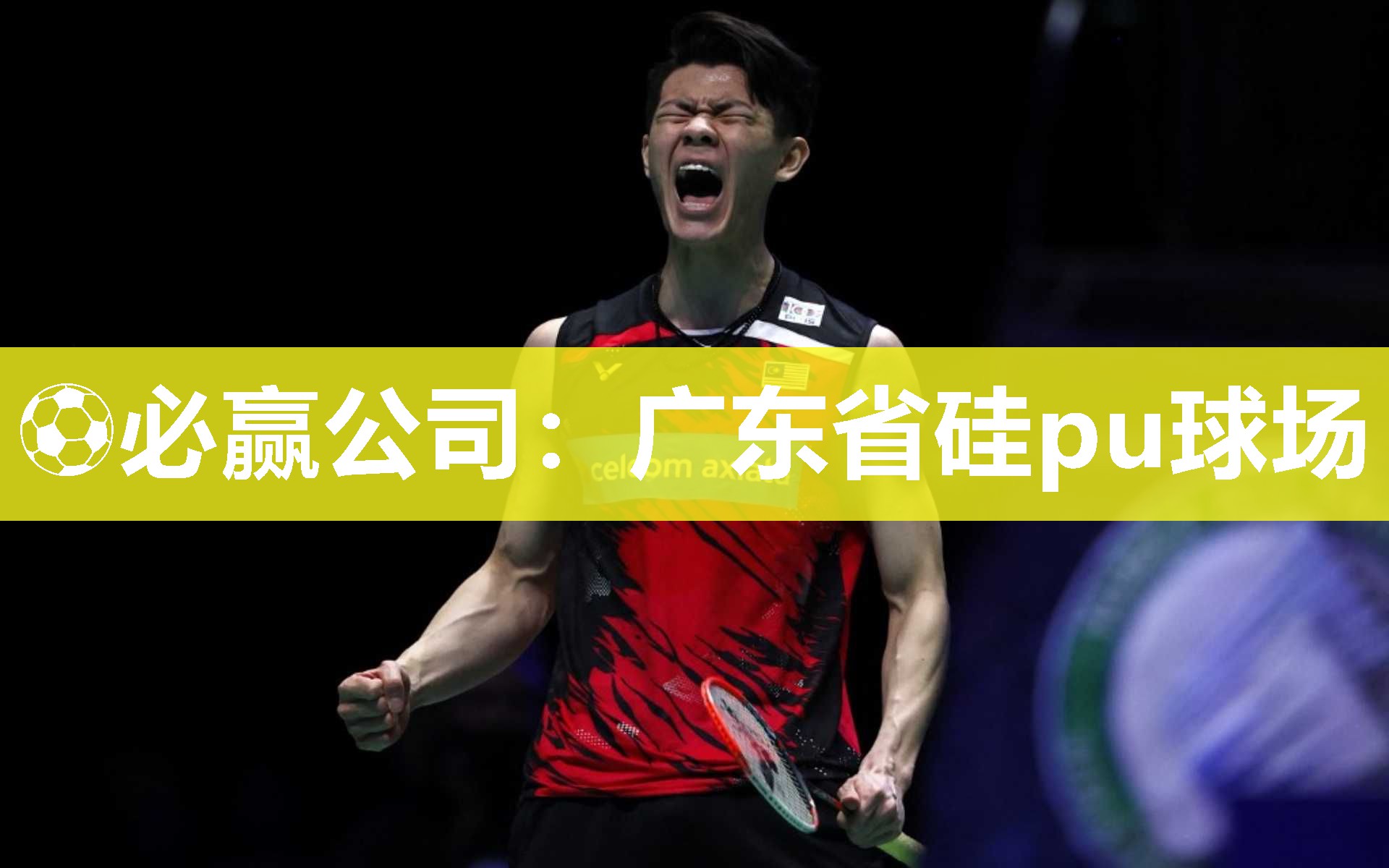 广东省硅pu球场