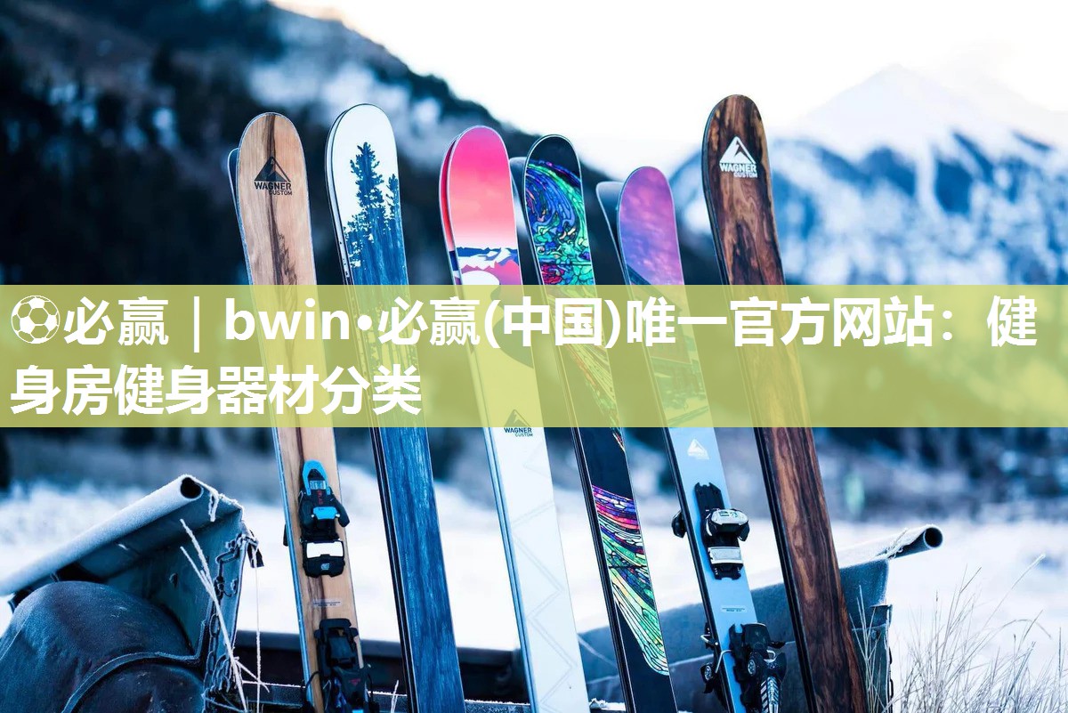 健身房健身器材分类