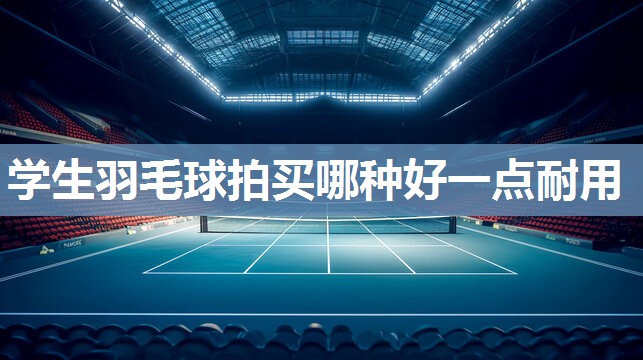 学生羽毛球拍买哪种好一点耐用