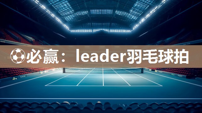 leader羽毛球拍