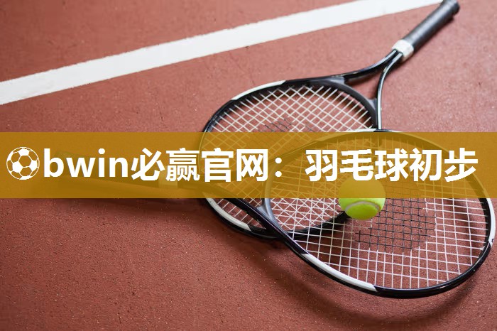 羽毛球初步