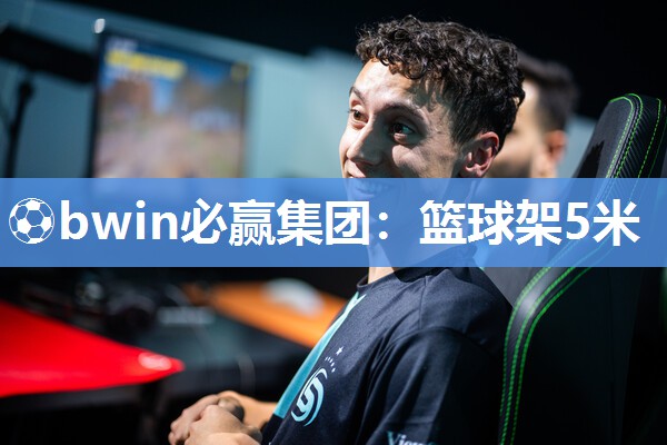 篮球架5米