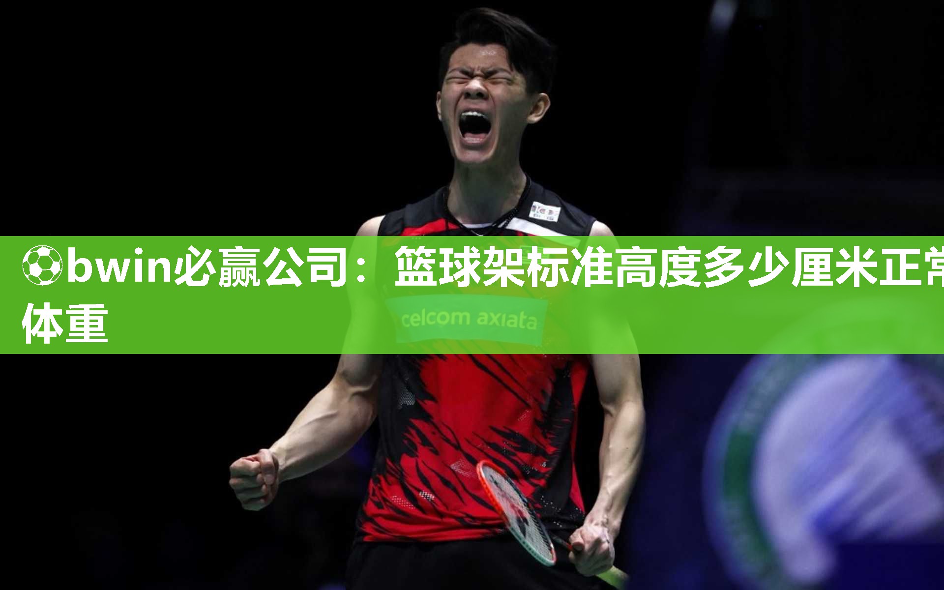 篮球架标准高度多少厘米正常体重