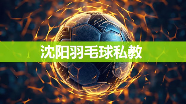 沈阳羽毛球私教
