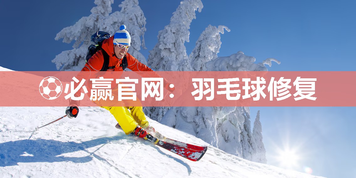 羽毛球修复