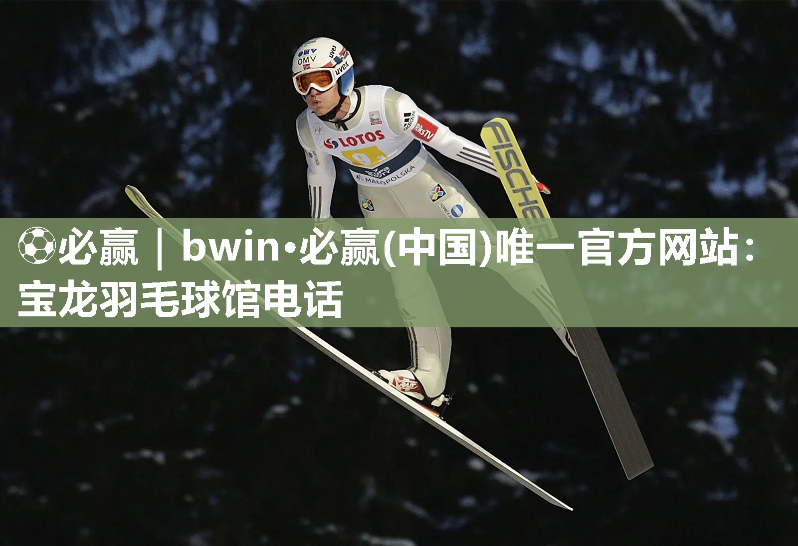 宝龙羽毛球馆电话