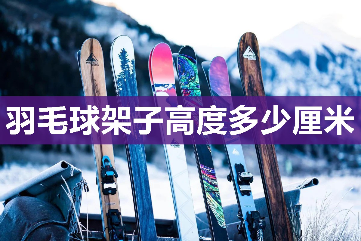 羽毛球架子高度多少厘米