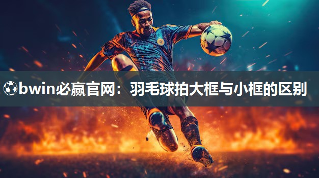 羽毛球拍大框与小框的区别