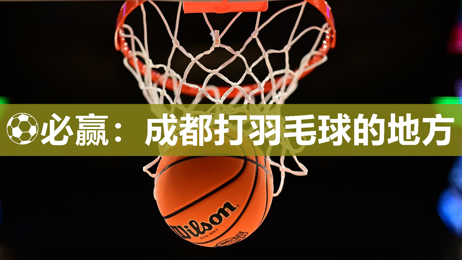 成都打羽毛球的地方