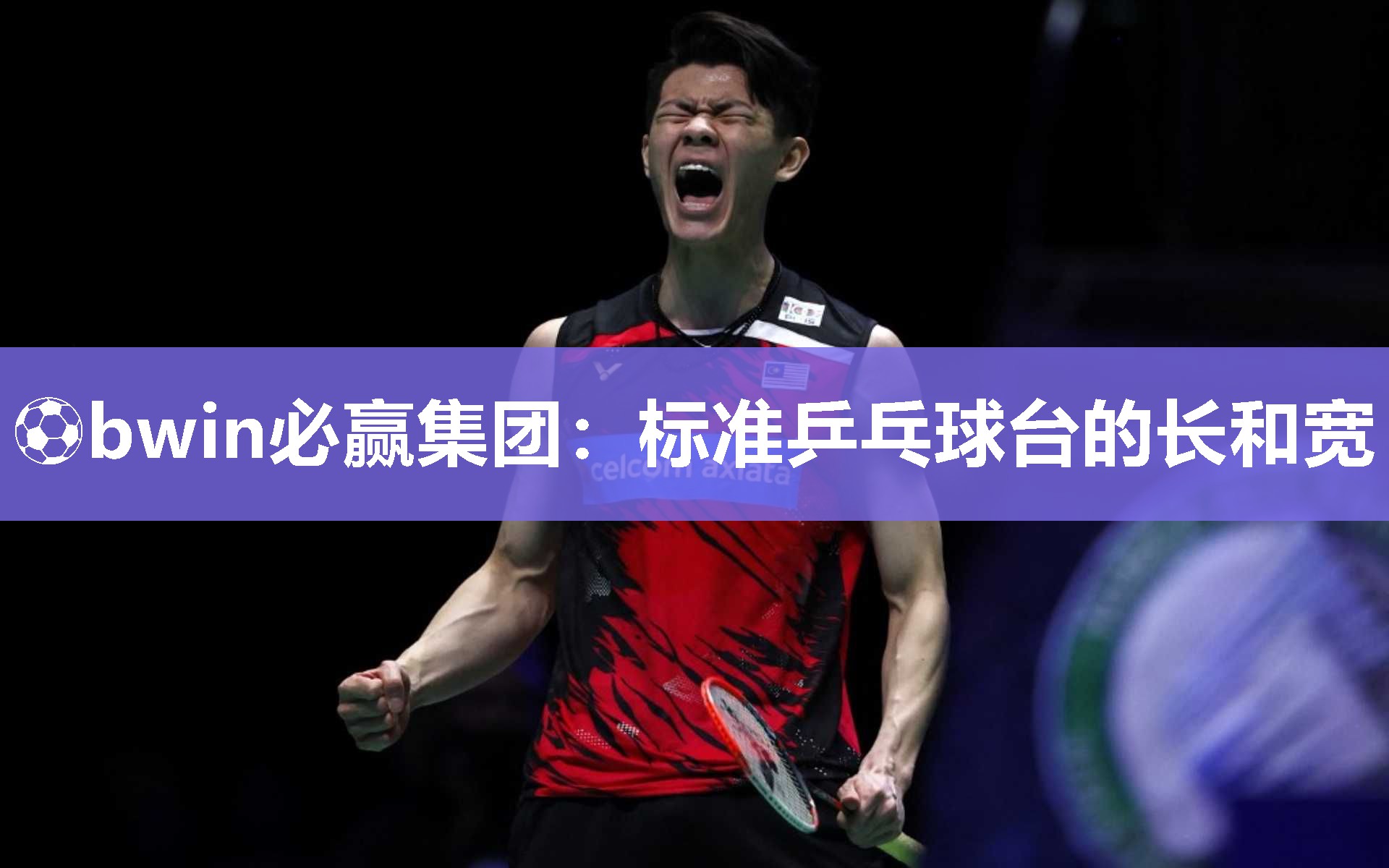 标准乒乓球台的长和宽