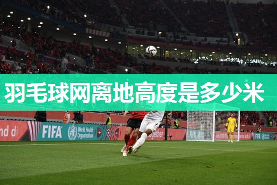 羽毛球网离地高度是多少米